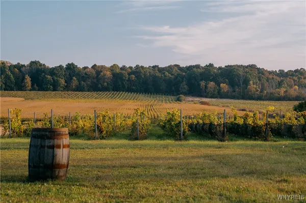 $9,000,000 | 5138 Lower Mountain Road, Cambria, NY 14094