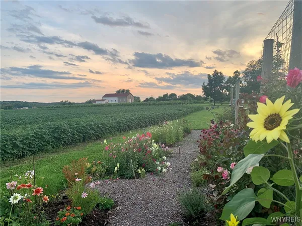 $9,000,000 | 5138 Lower Mountain Road, Cambria, NY 14094