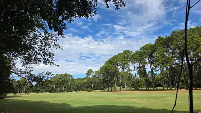 $153,283 | 1008 Maccoa Drive, Conway, SC 29526