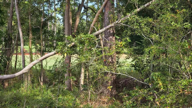 $153,283 | 1008 Maccoa Drive, Conway, SC 29526