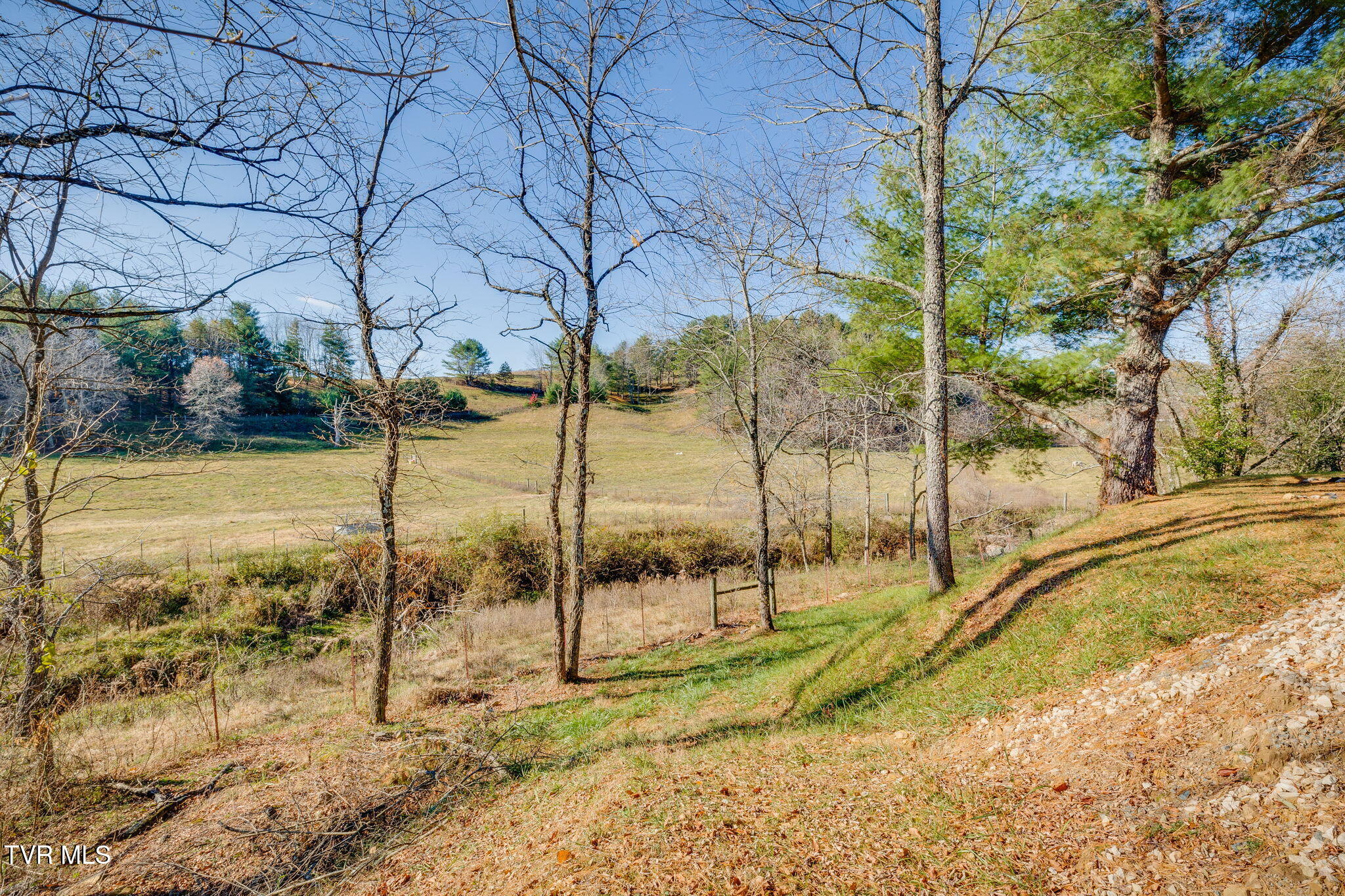 177 Hospital Road Mountain City, TN 37683 - Photo 7 of 19 005