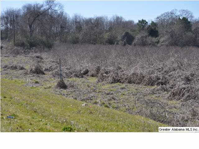 219 Highway, Unit 9 2 Marion, AL 36756 - Photo 3 of 3