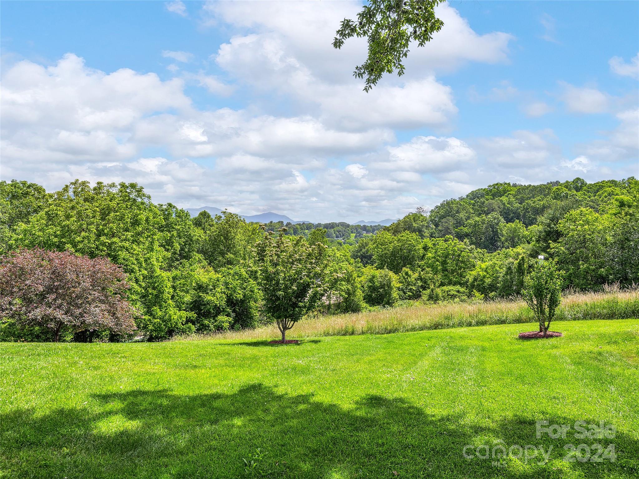 175 Rogers Street Clyde, NC 28721 - Photo 27 of 35 a view of yard with green space