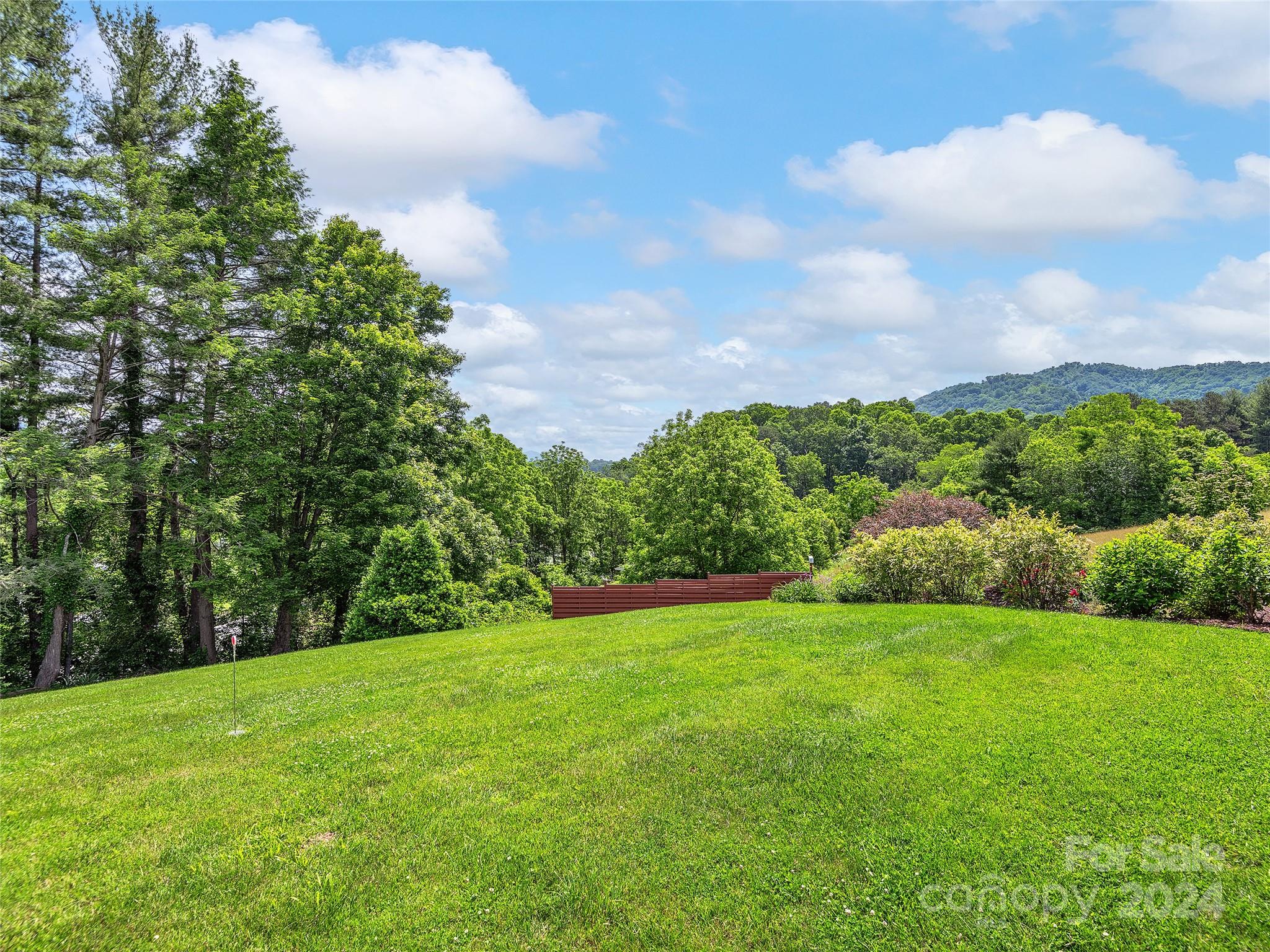 175 Rogers Street Clyde, NC 28721 - Photo 29 of 35 a view of a field of grass and trees
