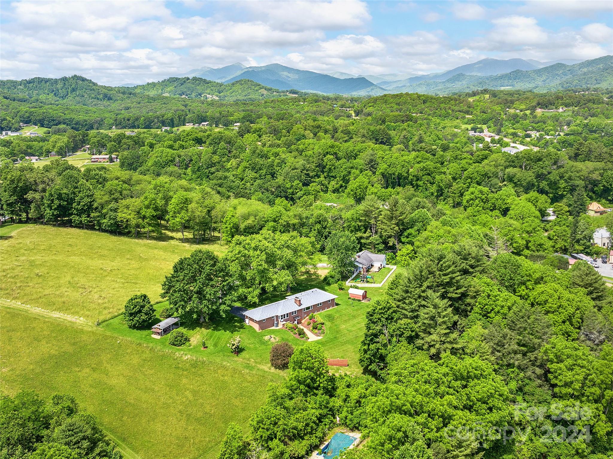 175 Rogers Street Clyde, NC 28721 - Photo 34 of 35 a view of a lush green space with sea