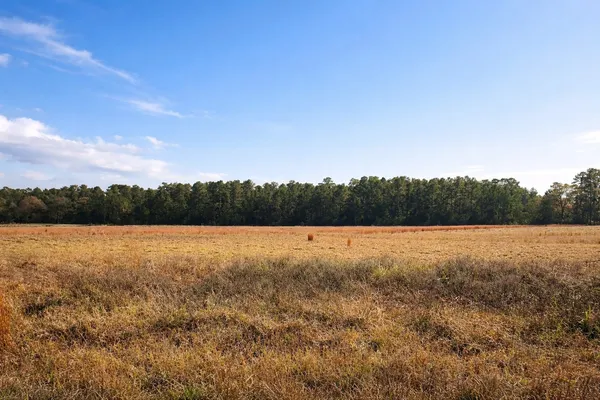 $150,000 | Tbd Clearlake Lane, Crockett, TX 75835