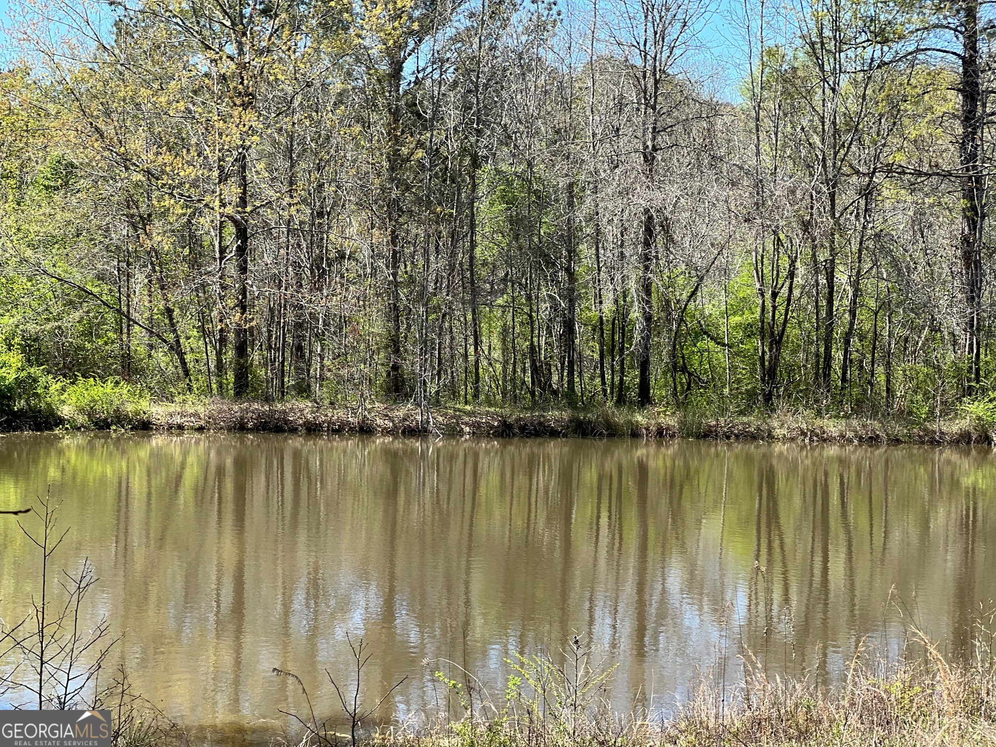 1073 Blount Road Jackson, GA 30233 - Photo 23 of 34