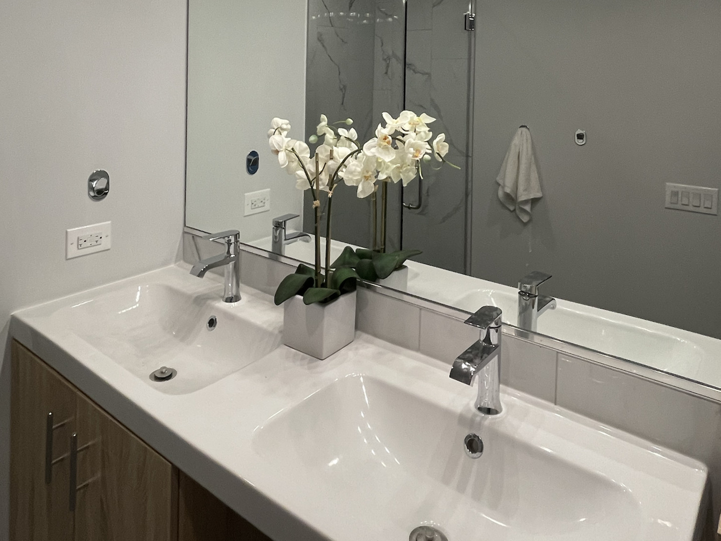 5691 North Ridge Avenue, Unit 201 Chicago, IL 60660 - Photo 17 of 31 a bathroom sink with a potted plant