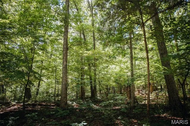 $715,500 | 0 Scanlon Drive, De Soto, MO 63020