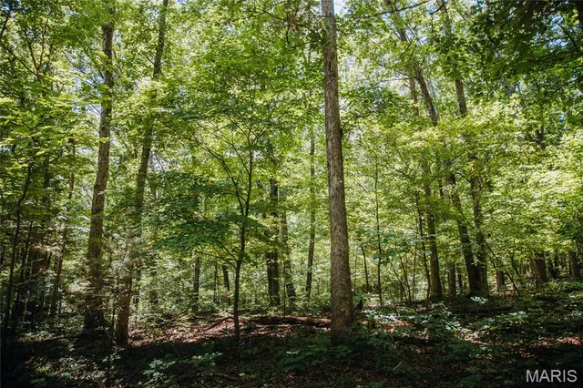 $715,500 | 0 Scanlon Drive, De Soto, MO 63020