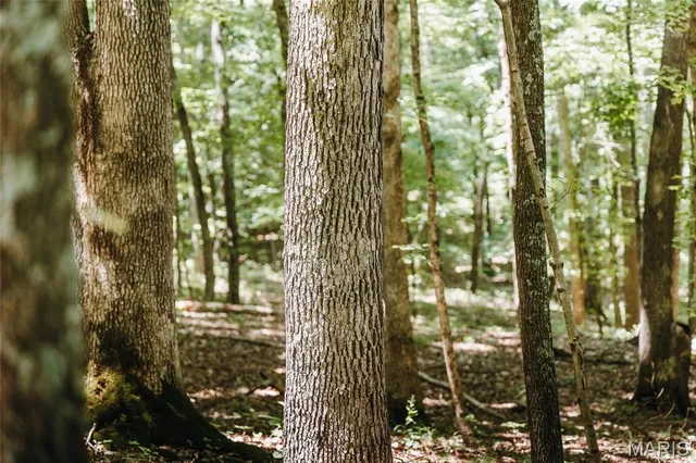 $715,500 | 0 Scanlon Drive, De Soto, MO 63020