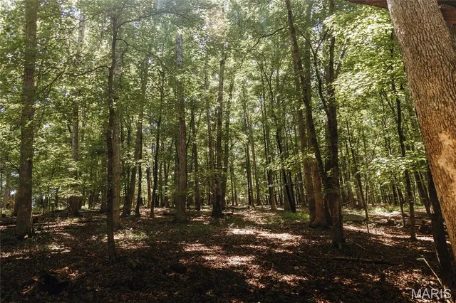 $715,500 | 0 Scanlon Drive, De Soto, MO 63020