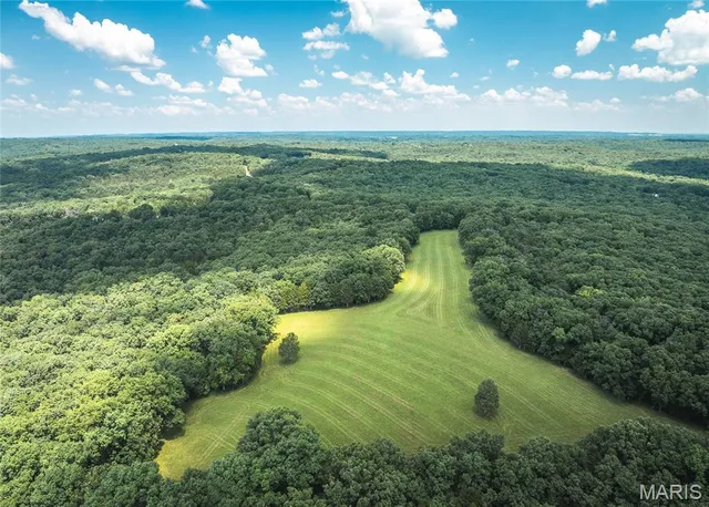 $715,500 | 0 Scanlon Drive, De Soto, MO 63020