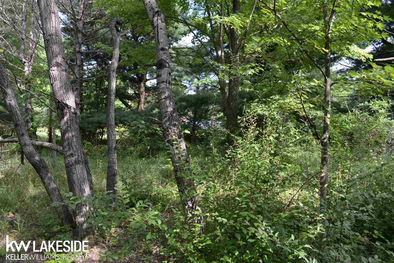 0 Lassier Romeo, MI 48065 - Photo 3 of 4