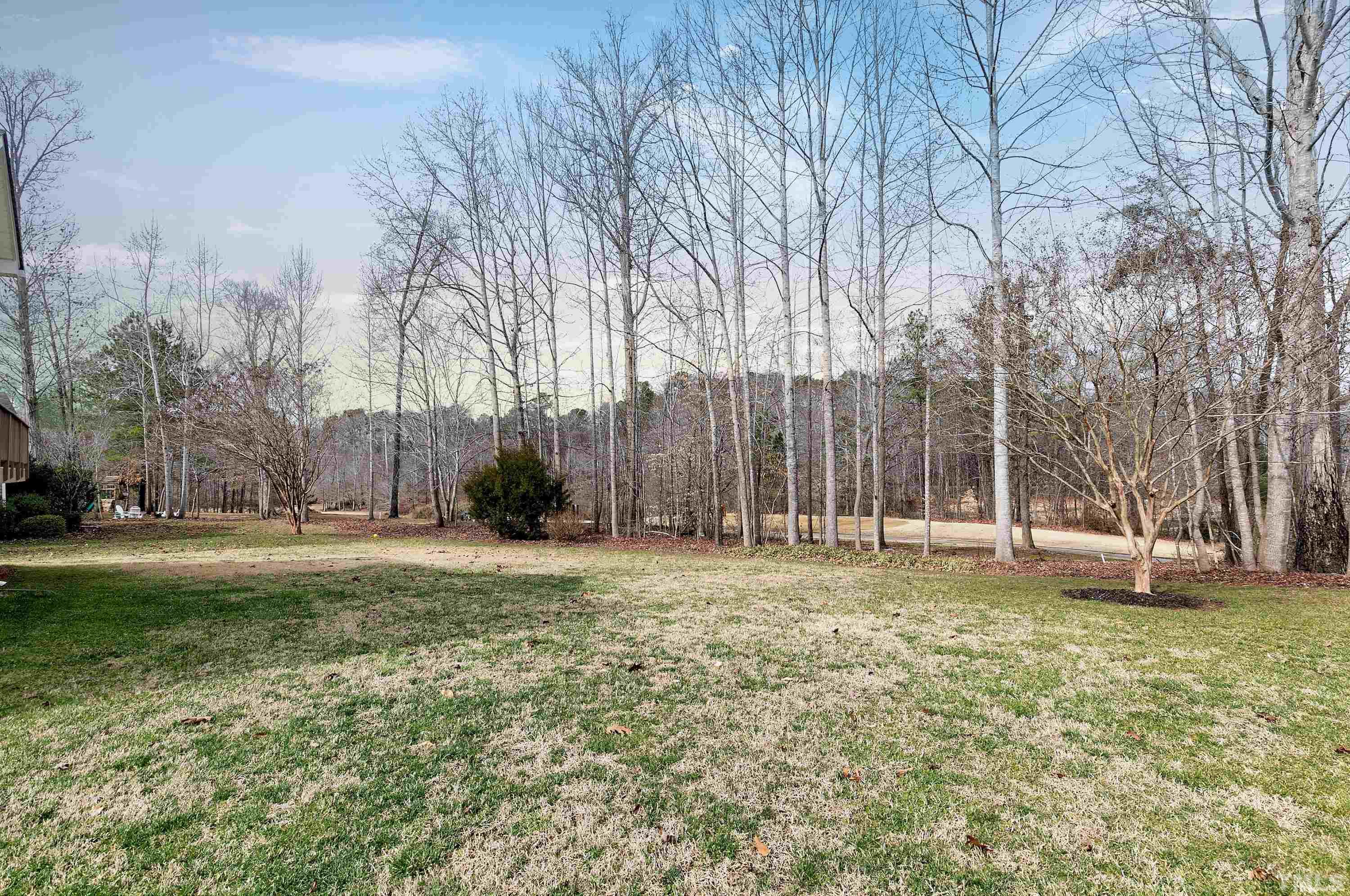 891 Seastone Street Raleigh, NC 27603 - Photo 31 of 51 a view of a field with trees in the background