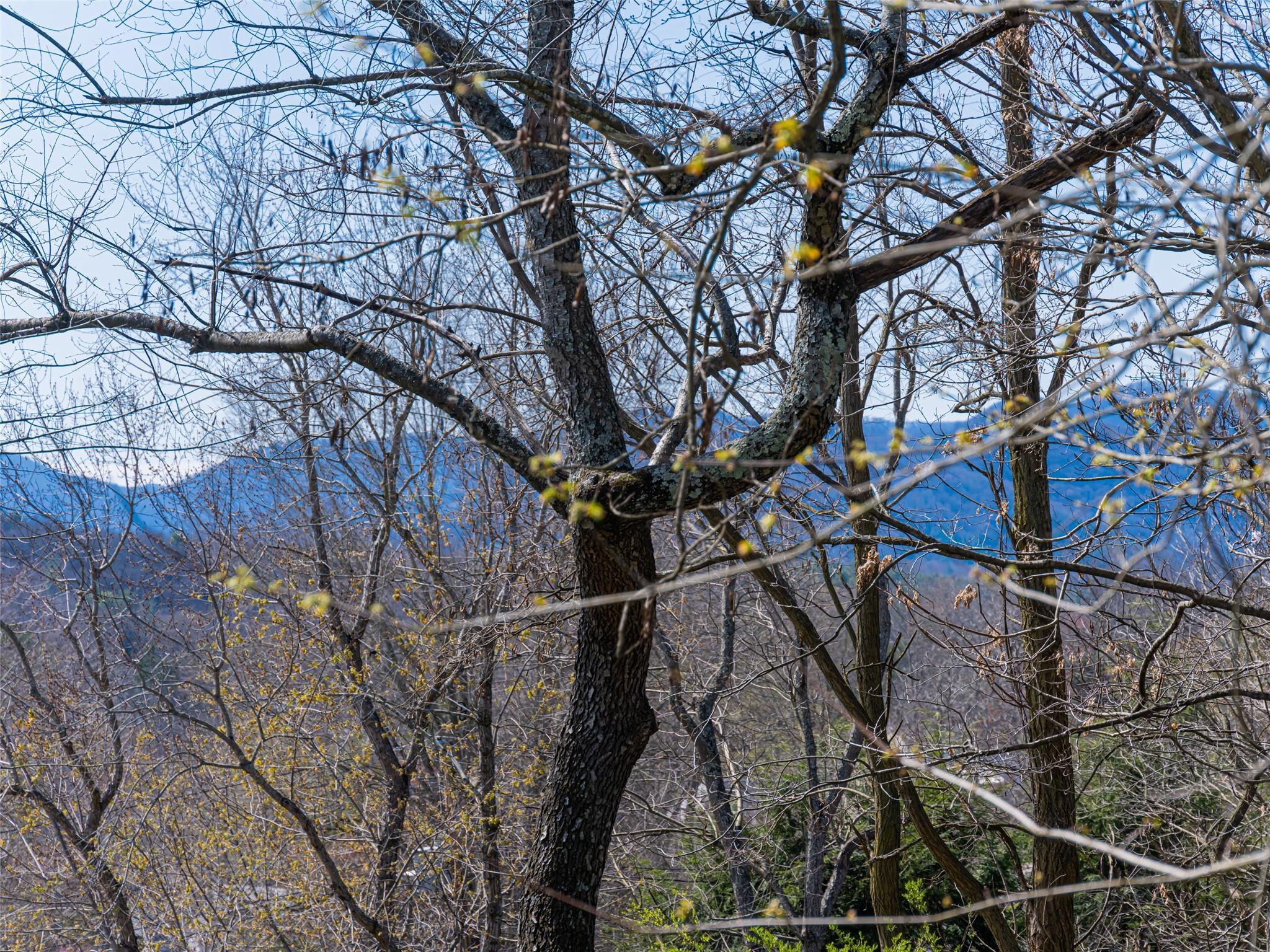 25 Longview Road Asheville, NC 28806 - Photo 42 of 43 Gallery Image 42