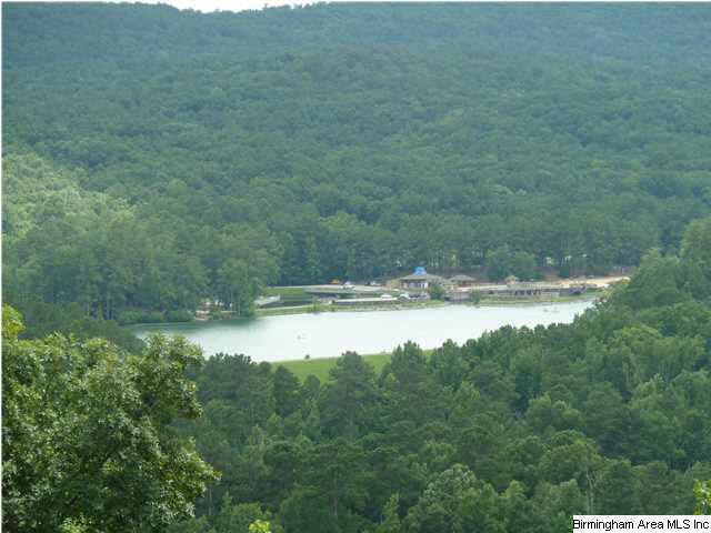 1170 Stagg Run Trail Pelham, AL 35124 - Photo 32 of 32
