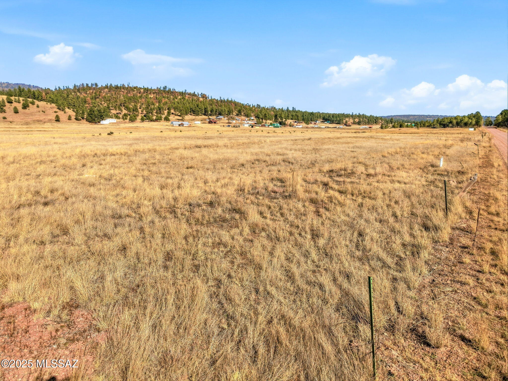 Lot 23 The Ranch, Unit 23 Alpine, AZ 85920 - Photo 10 of 20