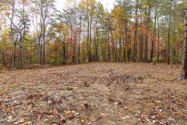 $75,000 | Tbd Bill Martin Road, Afton, TN 37616