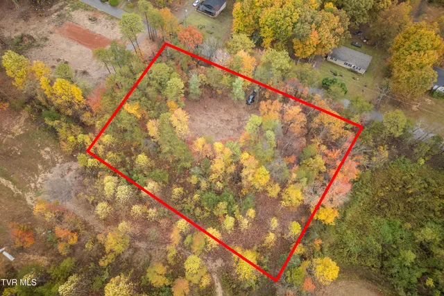 $75,000 | Tbd Bill Martin Road, Afton, TN 37616