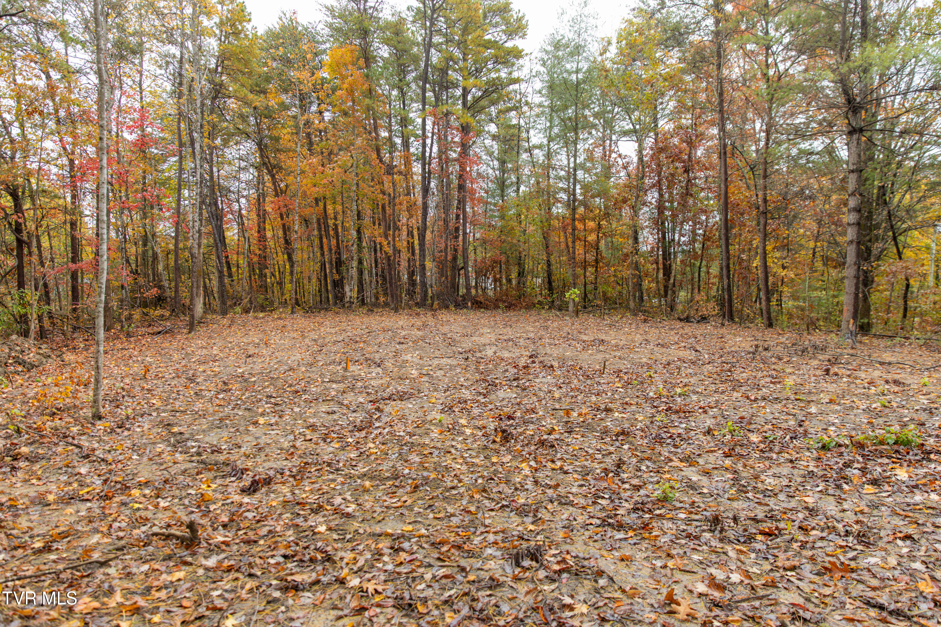 Tbd Bill Martin Road Afton, TN 37616 - Photo 2 of 14 087A9561