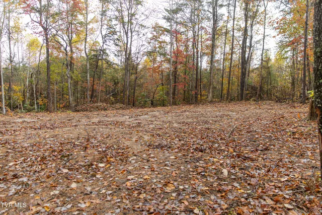 $75,000 | Tbd Bill Martin Road, Afton, TN 37616