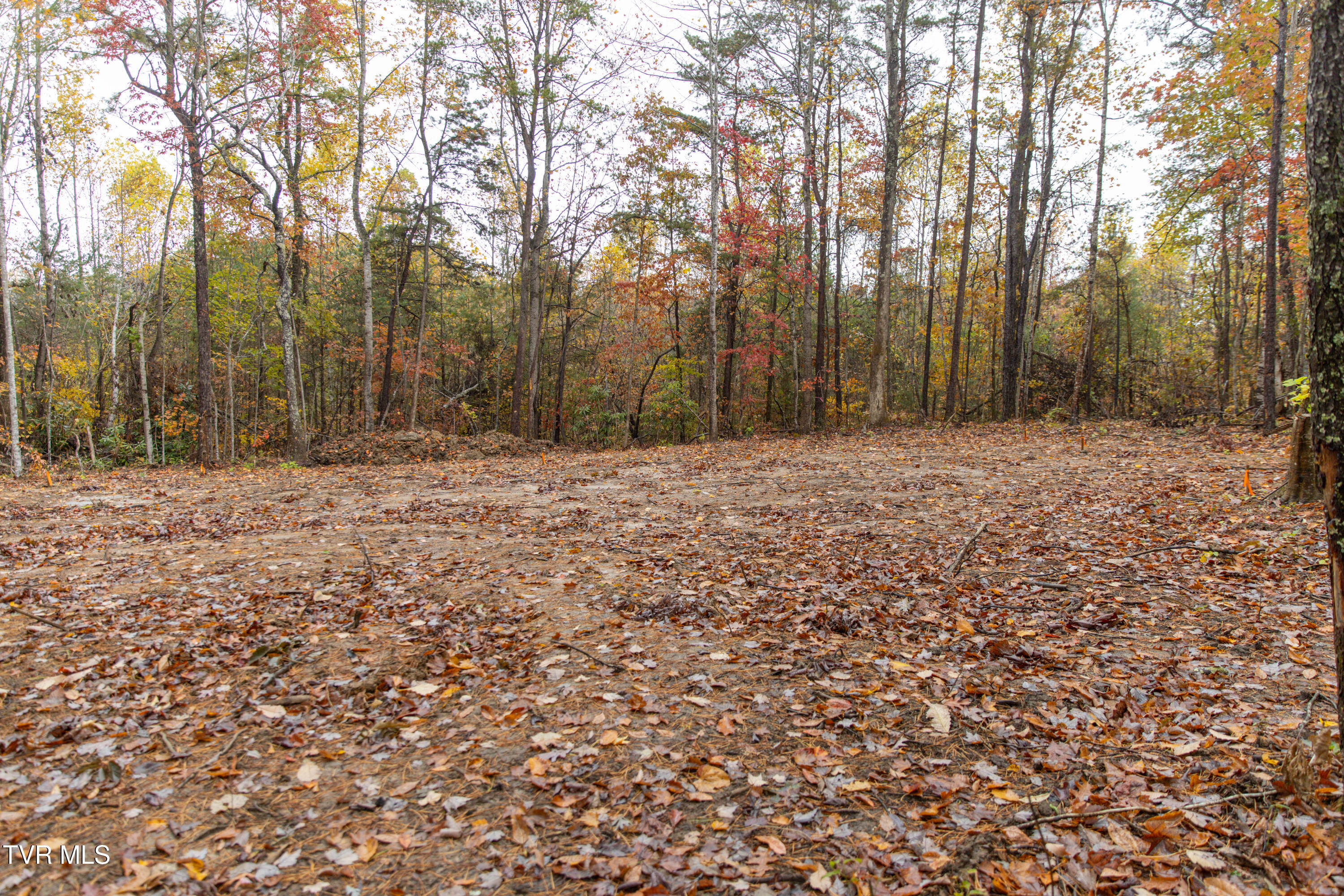 Tbd Bill Martin Road Afton, TN 37616 - Photo 3 of 14 087A9562