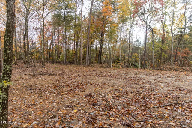 $75,000 | Tbd Bill Martin Road, Afton, TN 37616
