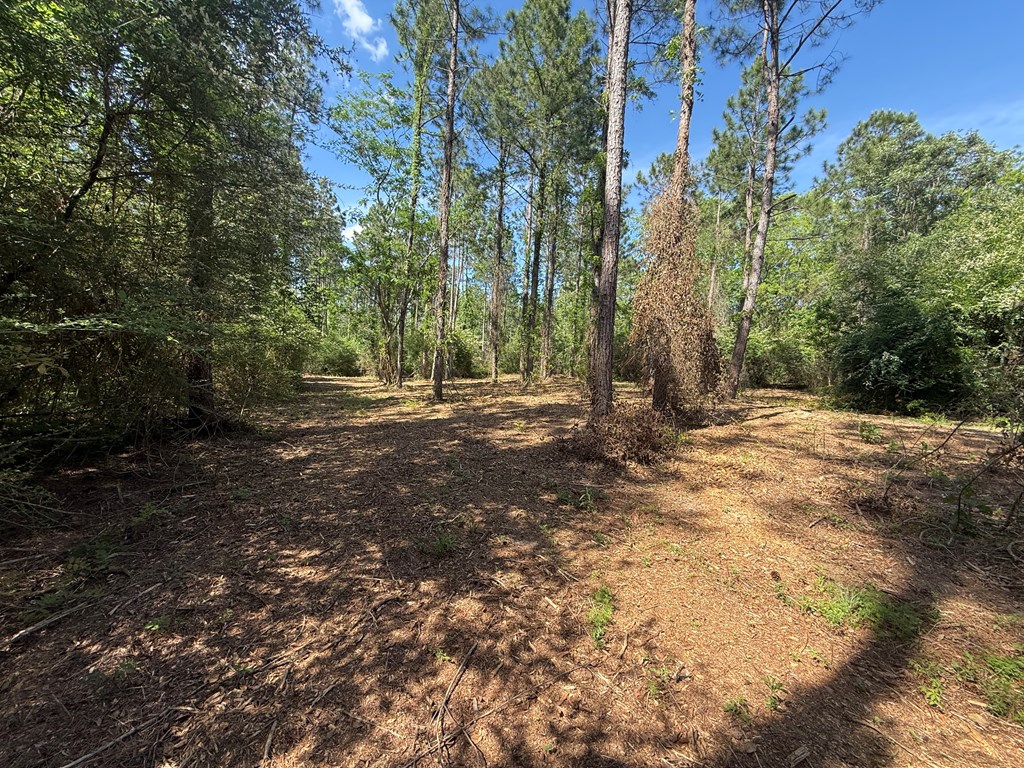 Lot 3 County Road Slocomb, AL 36375 - Photo 13 of 18
