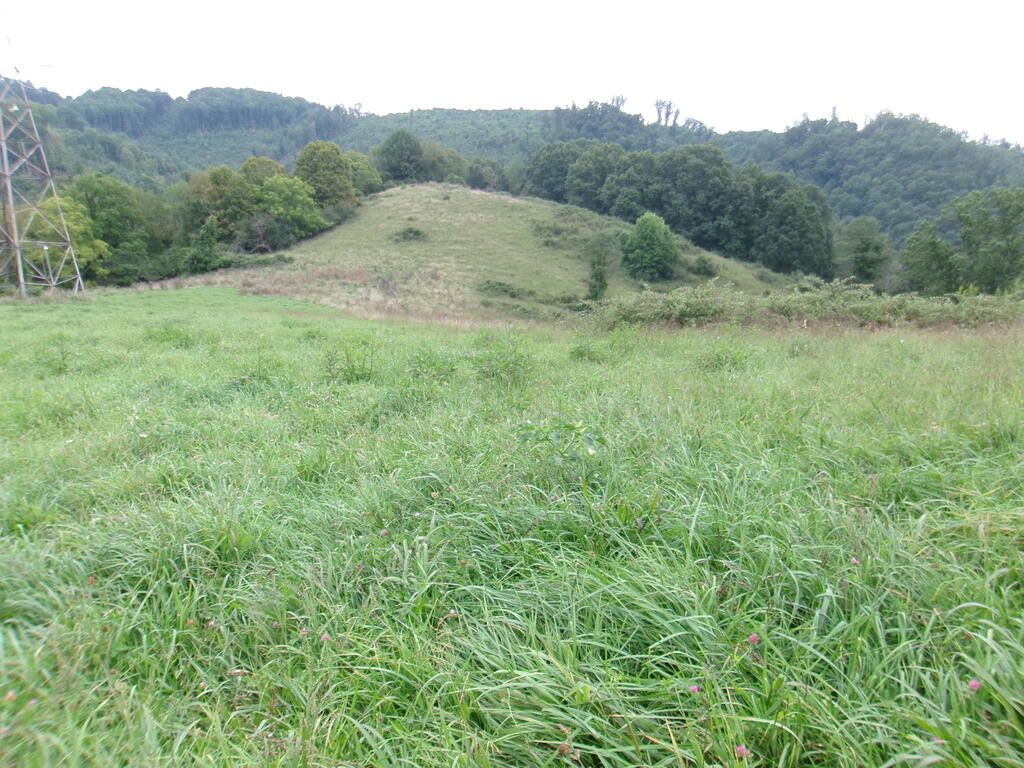 Tbd Little Acres Road North Tazewell, VA 24630 - Photo 13 of 15 Gallery Image 13