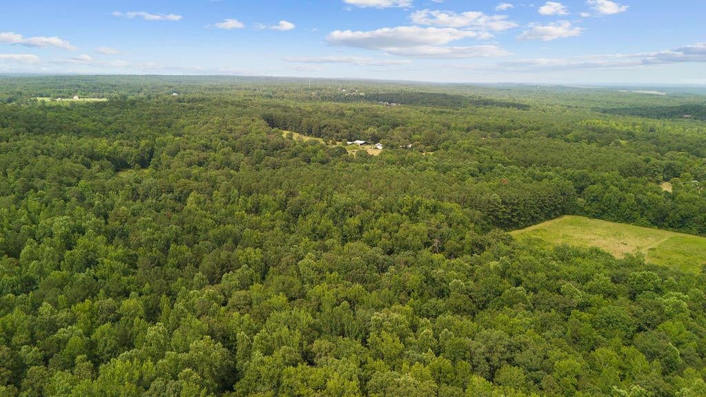 7000 Bethel Road Dora, AL 35062 - Photo 10 of 12 Gallery Image 10