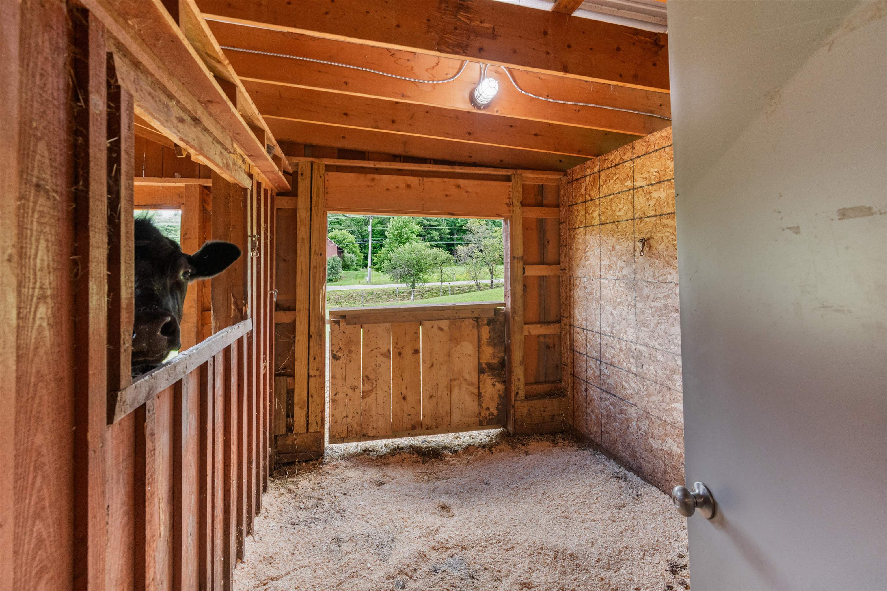 651 Fletcher Road Fairfax, VT 05444 - Photo 54 of 56