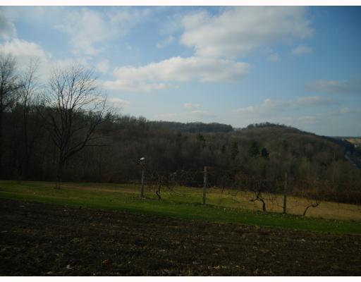 526 South Pike Road Sarver, PA 16055 - Photo 15 of 16 View.