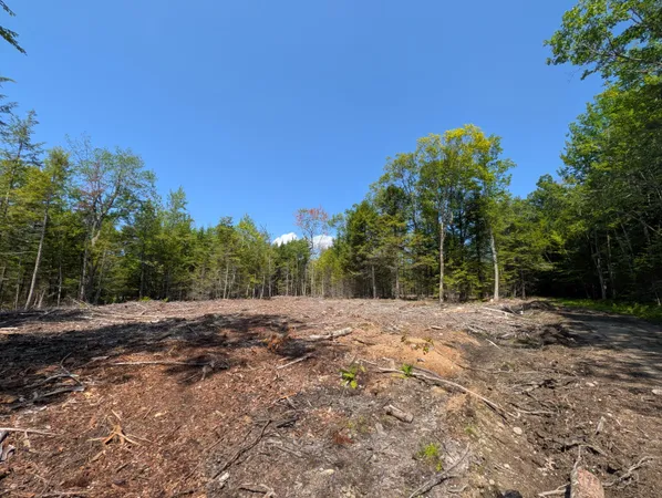 $65,000 | Lot 9 Maple Ridge Road, Harrison, ME 04040