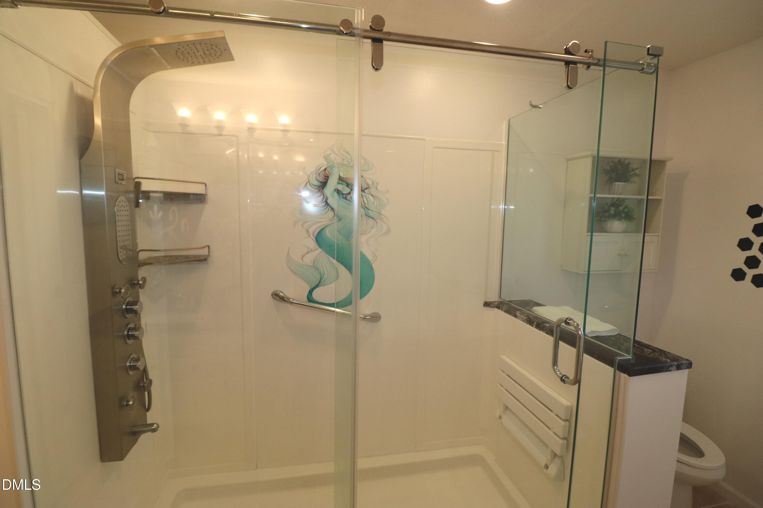 11230 Avocet Lane, Unit 102 Raleigh, NC 27617 - Photo 32 of 65 Shower Tower, Glass Enclosure