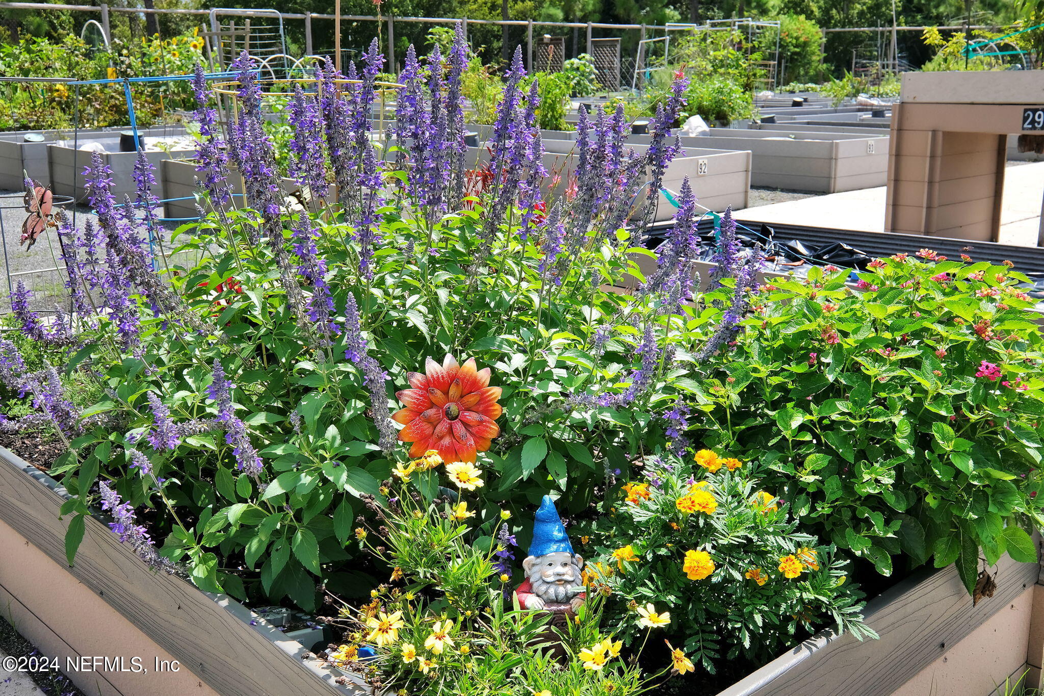 40 Tree Side Lane Ponte Vedra, FL 32081 - Photo 93 of 100 a view of a flower in a garden