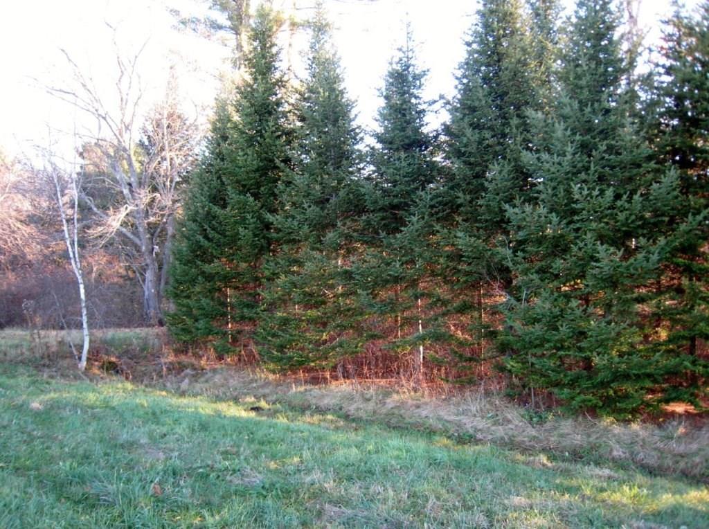 25 Baldwin Road Freeport, ME 04032 - Photo 2 of 12 Photo