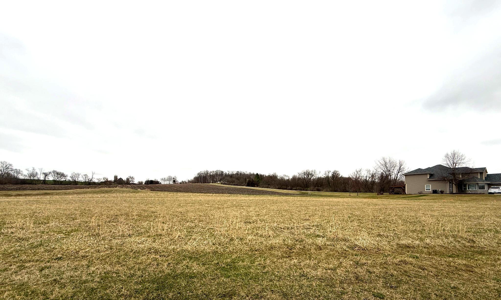 LOT 51