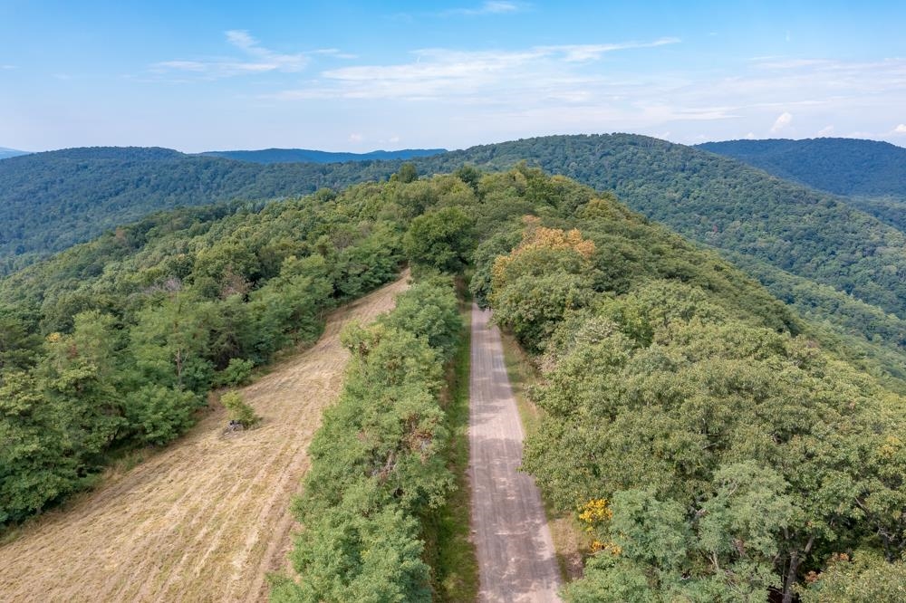 0 Shenandoah Mountain Road Mathias, WV 26812 - Photo 3 of 12 a view of a yard with an trees