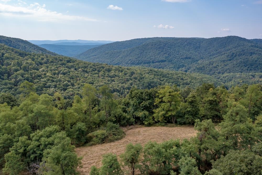 0 Shenandoah Mountain Road Mathias, WV 26812 - Photo 4 of 12 a view of a lush green hillside and a house