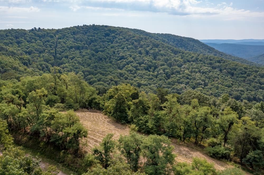 0 Shenandoah Mountain Road Mathias, WV 26812 - Photo 5 of 12 a view of a mountain range with trees in the background