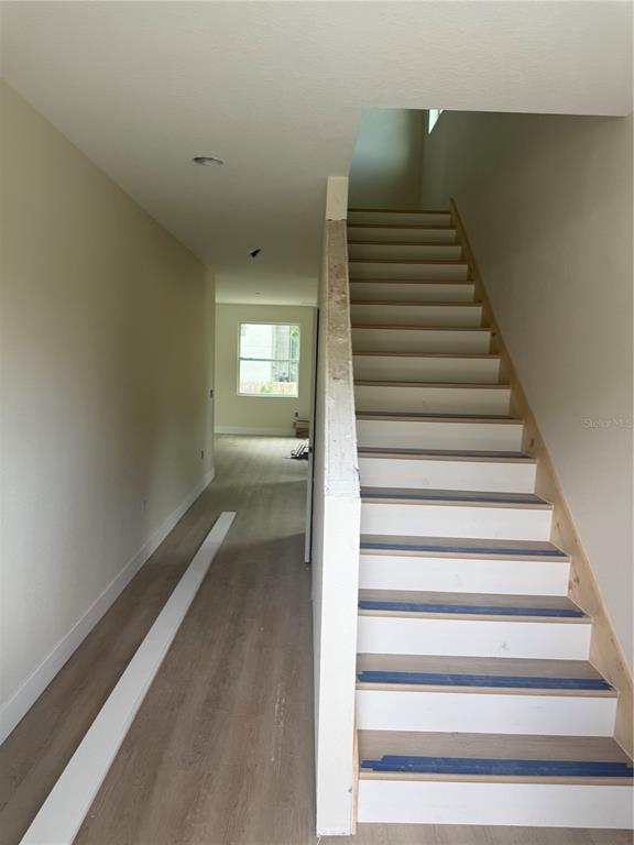 7315 Mt Vernon Road Tampa, FL 33625 - Photo 8 of 8