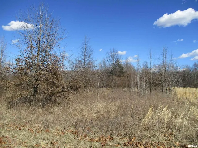 $27,500 | 0 Antioch Road, West Frankfort, IL 62896