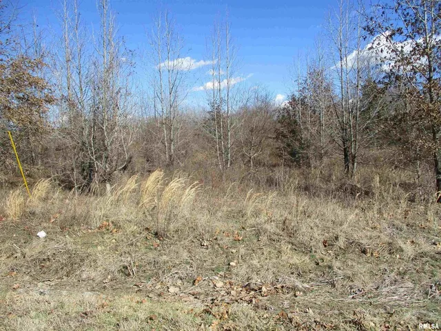 a view of a yard of the house