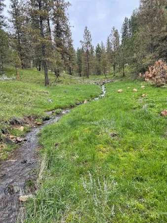 $225,000 | Tbd Fruitvale Glendale Road, Council, ID 83612