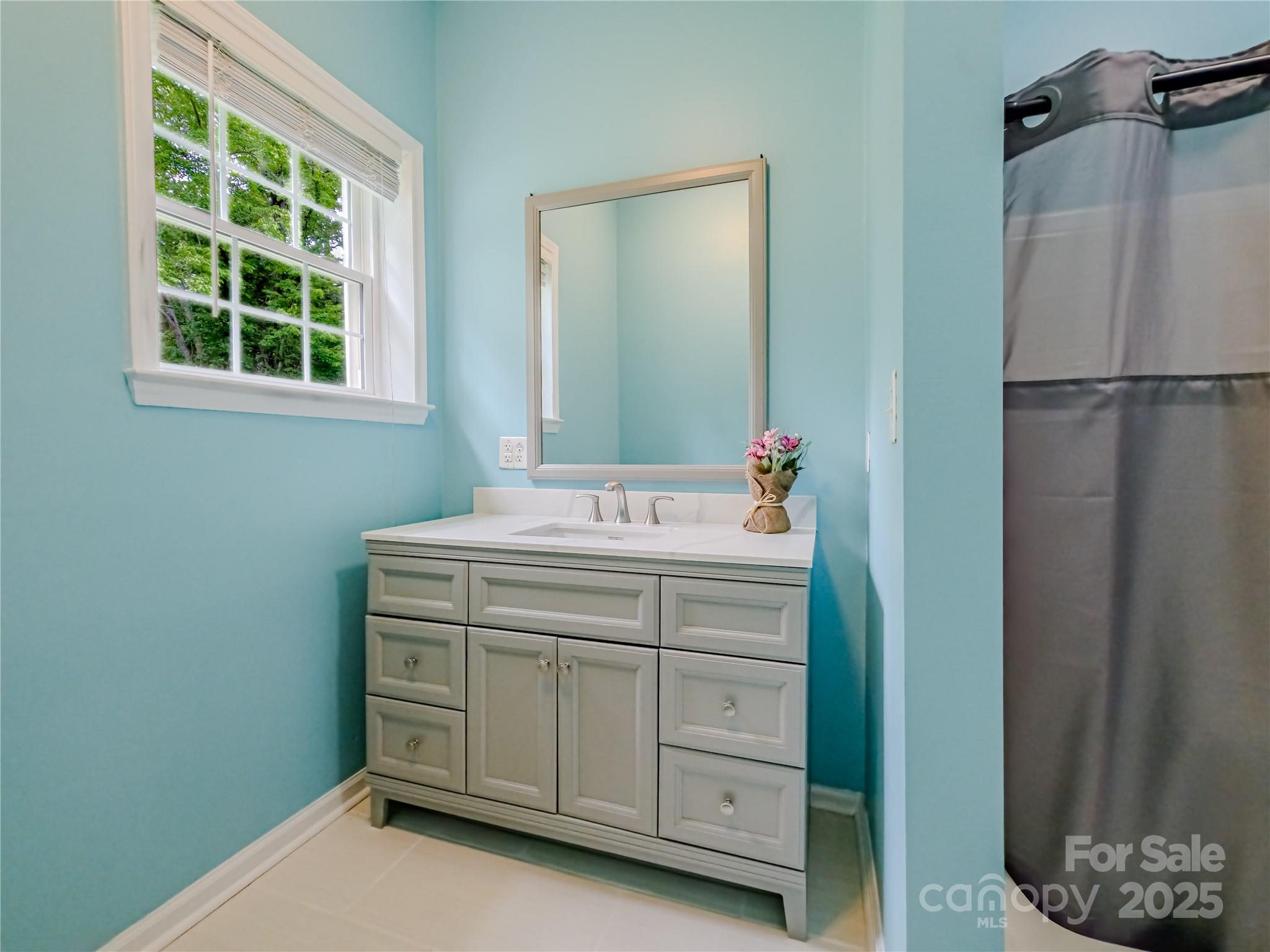 883 Pinehurst Road Ellenboro, NC 28040 - Photo 23 of 47 a bathroom with a sink and a mirror
