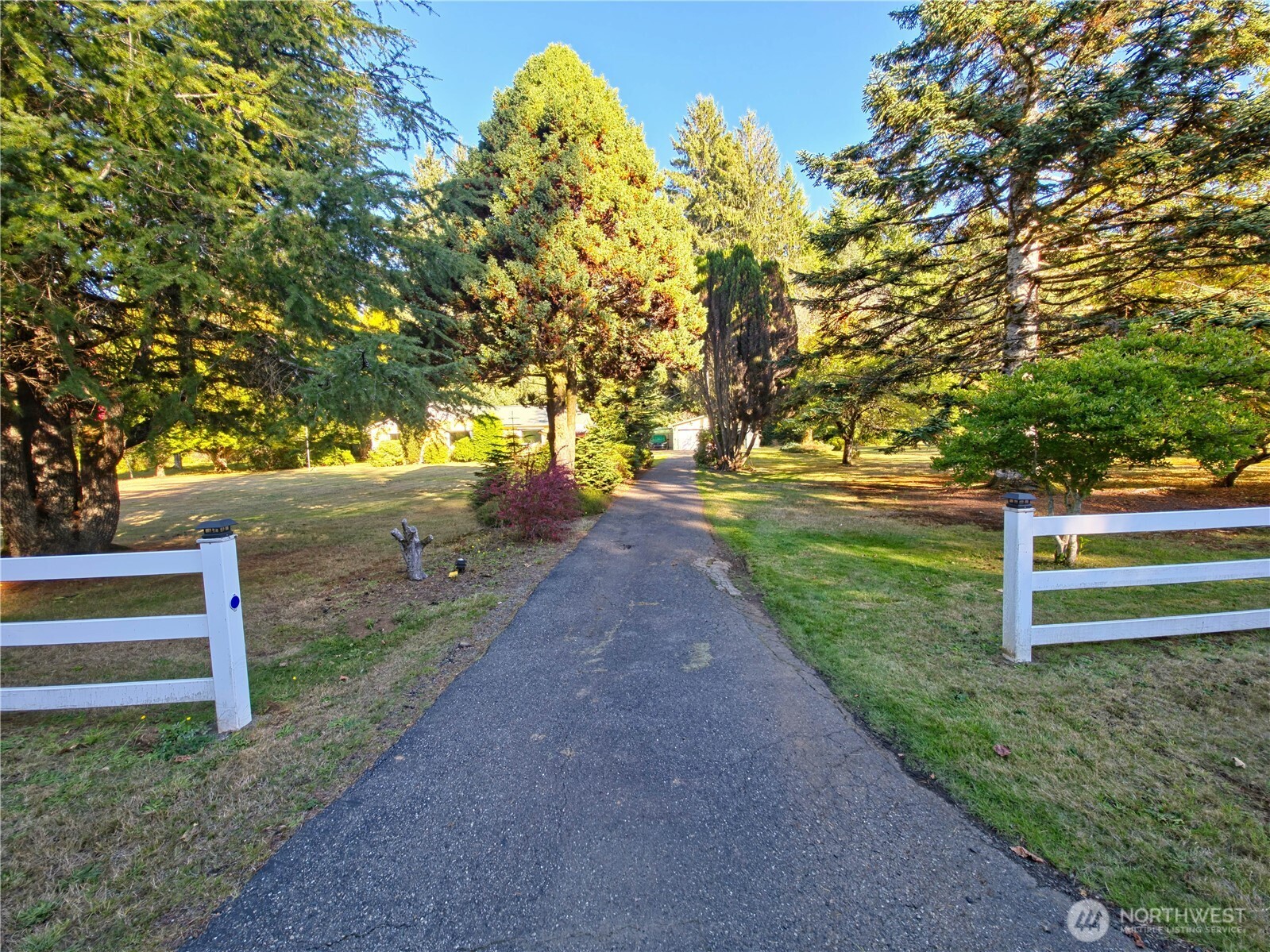 2030 Ocean Beach Road Copalis Crossing, WA 98536 - Photo 30 of 38 a view of a park with large trees