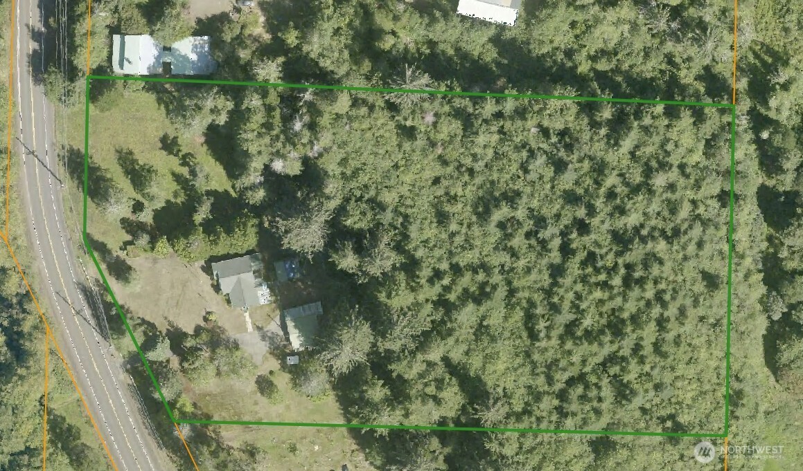 2030 Ocean Beach Road Copalis Crossing, WA 98536 - Photo 5 of 38 a close up of a plant in a garden