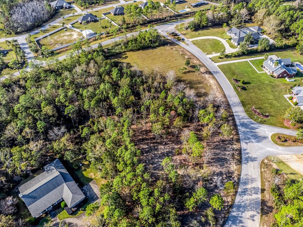 Lot 2 Tarklin View Drive Lillian, AL 36549 - Photo 16 of 21