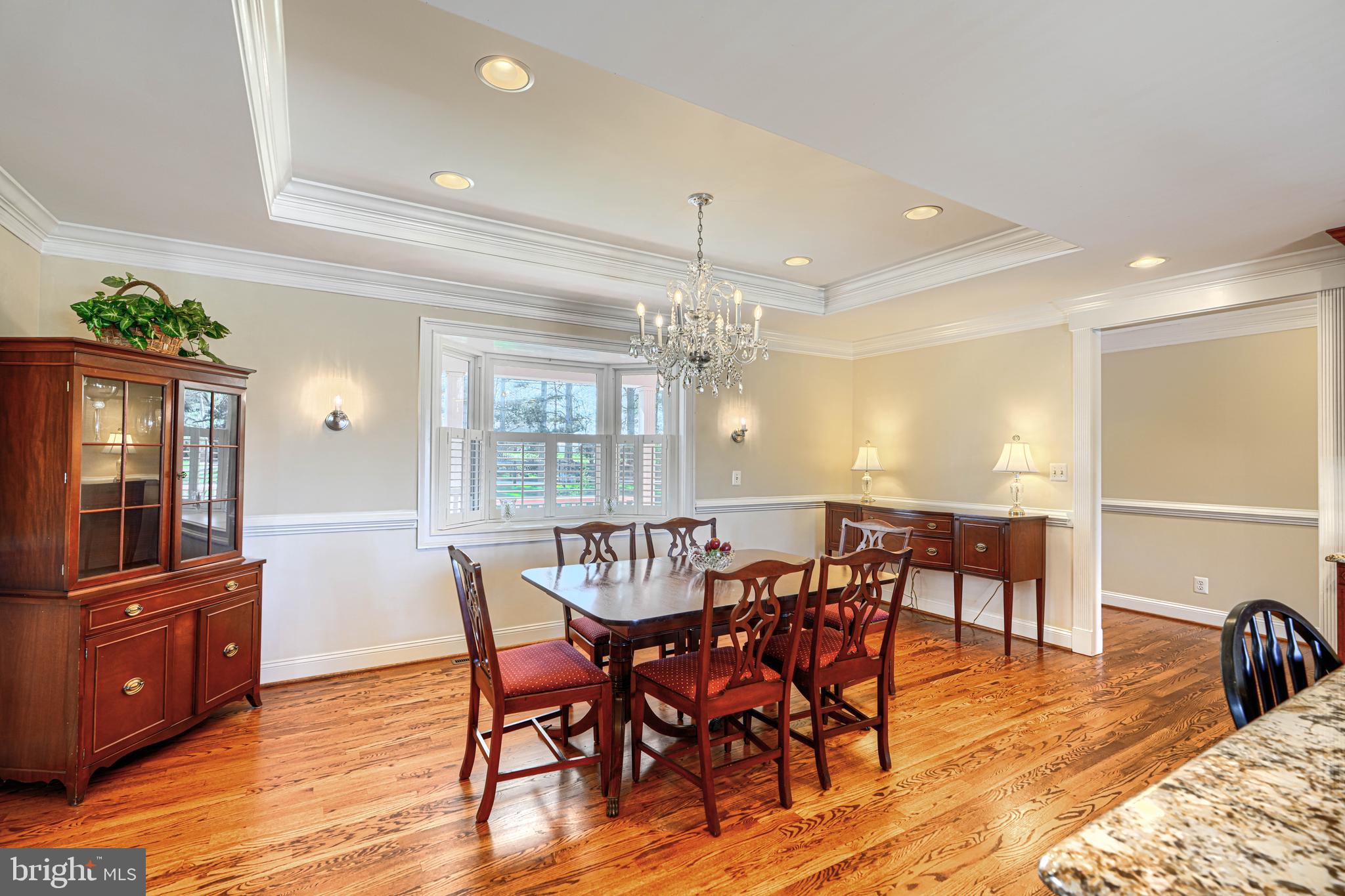 16104 Carroll Road Monkton, MD 21111 - Photo 18 of 95 dining room with tray ceiling and overhead lights